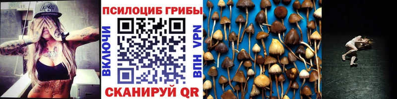 купить наркотики цена  Сорск  Галлюциногенные грибы Psilocybe 
